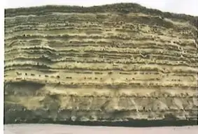 Figura 3 de Ciencias Naturales 10° · 2025