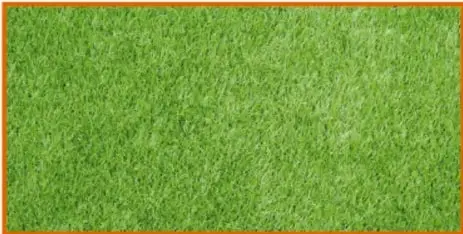 Fotografía del terreno rectangular cubierto de pasto verde, con marco naranja; leyenda 'El terreno se ve así'.