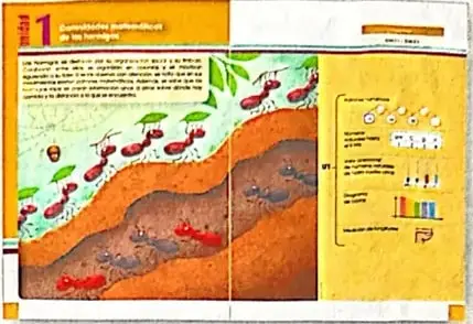 Muestra la apertura de una unidad con una ilustración y actividades relacionadas con la naturaleza.