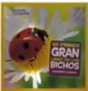 Portada del libro 'Mi primer gran libro de bichos' con una mariquita.