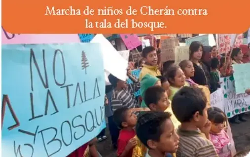 Marcha de niños de Cherán contra la tala del bosque. Los niños sostienen carteles con la frase 'No a la tala del bosque'.