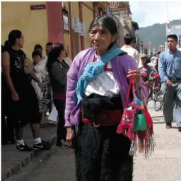 Mujer indígena con vestimenta tradicional y rebozo, representando la diversidad cultural y los pueblos originarios.