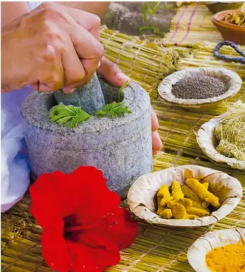 Manos machacando hierbas en un molcajete de piedra, rodeadas de especias, semillas y una flor roja, junto a un tejido de palma; representa la medicina tradicional.