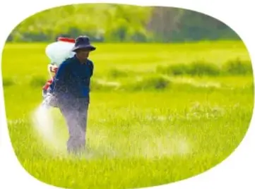 Agricultor aplicando fertilizante o plaguicida con mochila en un campo verde de cultivo.