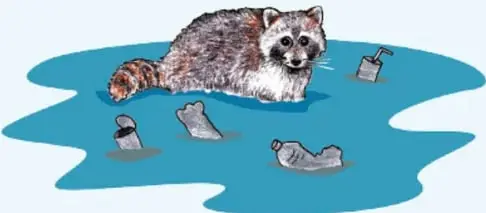Ilustración de un mapillo (coatí/mapache) sobre una laguna con botellas y basura flotando, que sugiere la contaminación como amenaza a la biodiversidad.