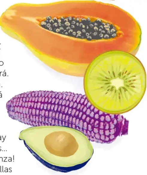 Ilustraciones de frutas con semillas: vaina de chícharo, fresa, papaya abierta con semillas negras, rodaja de kiwi, elote morado y mitad de aguacate con hueso.