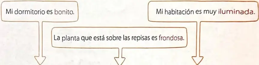Figura 2 de Lengua y Literatura 4° · 2025