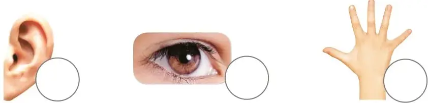 Tres imágenes: una oreja humana, un ojo humano y una mano descubierta; cada una con un círculo para marcar.