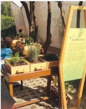 Fotografía de un huerto urbano o jardín de cultivo con cajas de madera, plantas y un cartel informativo de 'murmullos'.