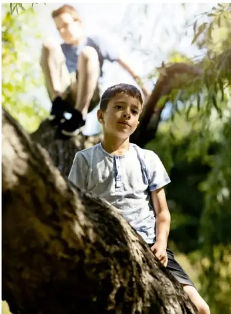 Fotografía de dos niños sentados en las ramas de un árbol, uno de ellos mira hacia el frente. Ilustra la tradición de la rama y el trabajo en equipo.