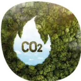 Ilustración circular de un bosque verde con la etiqueta CO2 en el centro, representando el dióxido de carbono en la naturaleza.