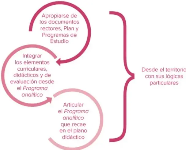 Diagrama circular con tres etapas: apropiarse de los documentos rectores, integrar elementos curriculares y articular el Programa analítico en el plano didáctico, enmarcado desde el territorio con sus lógicas particulares.