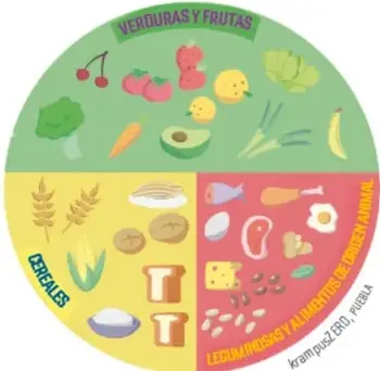 Ilustración del Plato del Bien Comer dividido en tres secciones: verduras y frutas (verde), cereales (amarillo) y leguminosas y alimentos de origen animal (rojo), con ejemplos de alimentos en cada una.