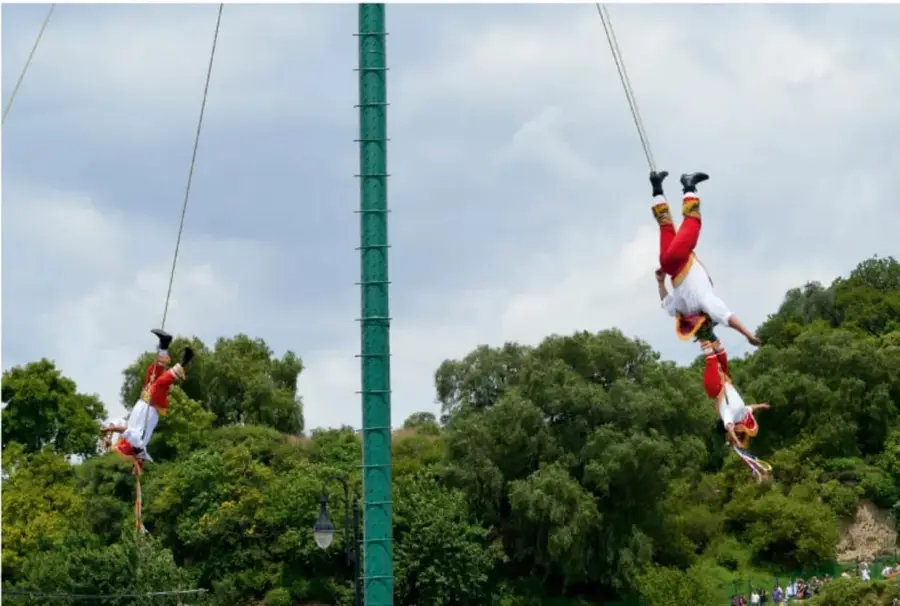 Fotografía de la ceremonia tradicional de los voladores: dos personas descienden colgando de cuerdas desde un palo alto, con árboles y cielo nublado de fondo; ilustra una tradición artística compartida por una comunidad.