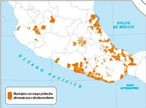 Mapa de México con los municipios que tienen mayor población afromexicana o afrodescendiente, marcados en color naranja, sobre todo en la costa del Pacífico y el Golfo de México.