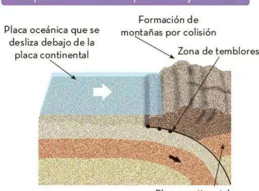 Dos flechas azules apuntando en direcciones opuestas que representan el movimiento convergente de las placas.