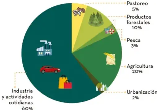 Gráfico de pastel 'Huella ecológica por uso de suelo' con seis sectores: Industria y actividades cotidianas 60 %, Agricultura 20 %, Productos forestales 10 %, Pastoreo 5 %, Pesca 3 %, Urbanización 2 %, con íconos de fábrica, campos y ciudades.