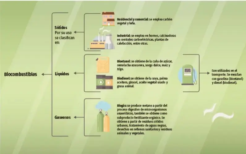 Infografía que clasifica los biocombustibles en sólidos, líquidos y gaseosos, con ejemplos, usos e íconos de casas, fábricas, cultivos, bomba de gasolina y cilindros de gas.