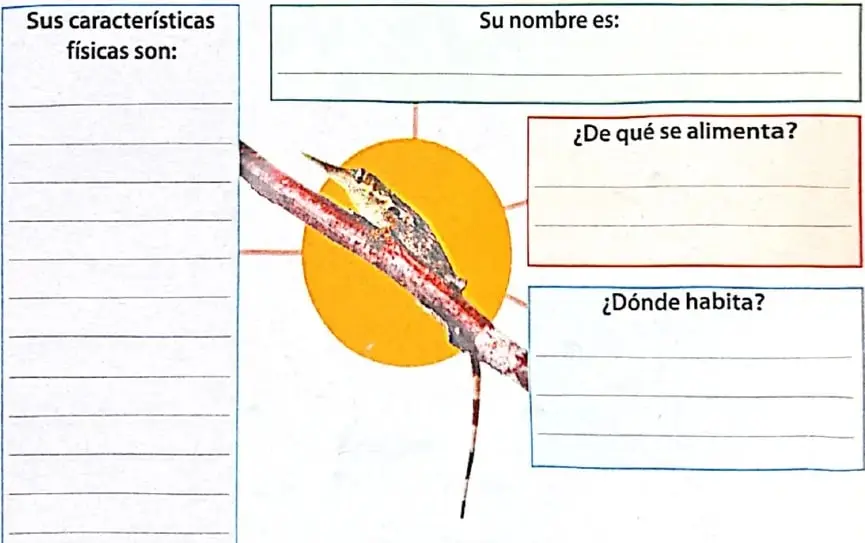 Figura 2 de Lengua y Literatura 4° · 2025