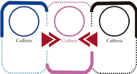 Gráfico con tres círculos etiquetados 'Cultura' y flechas que apuntan a un recuadro central 'Cultura'.