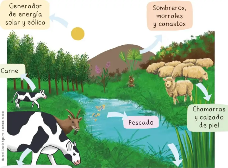 Ilustración de un paisaje natural con un río, vaca, cabra, borregos, peces, palmeras, montañas y sol; rótulos con flechas indican los productos que se obtienen de cada recurso: energía solar y eólica, sombreros/morrales/canastos, chamarras y calzado de piel, pescado, abastecimiento de agua, carne y productos lácteos.