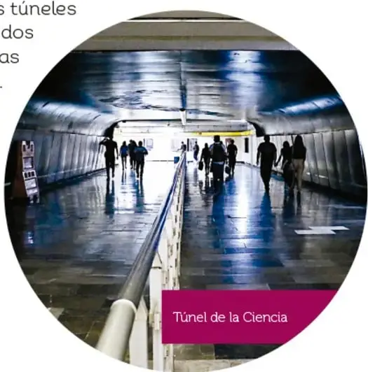 Túnel de la Ciencia: pasillo del Metro con personas caminando y piso brillante.