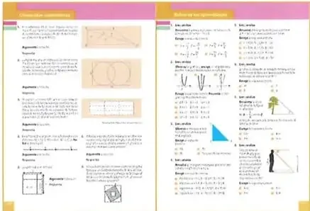Miniatura de páginas con actividades de geometría, razonamiento y aplicación de conceptos matemáticos.