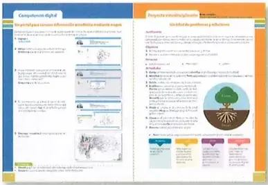 Figura 2 de Estudios Sociales 9° · 2025