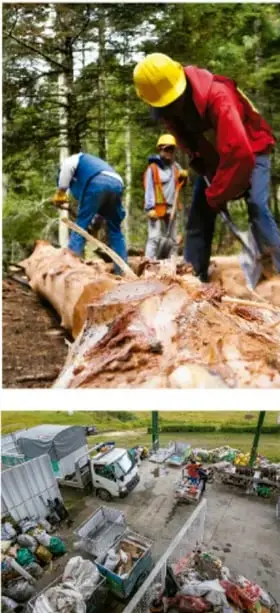 Fotografía de trabajadores con casco amarillo trabajando con madera en un entorno forestal, ilustrando un sistema técnico en operación.