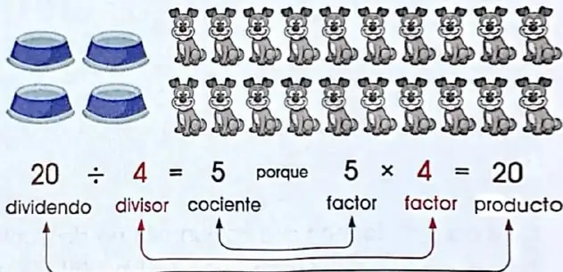 Cuatro platos y veinte cachorros que representan el reparto de $20$ elementos en $4$ grupos iguales.