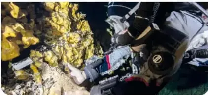 Buzo explorando una cueva inundada con formaciones rocosas.
