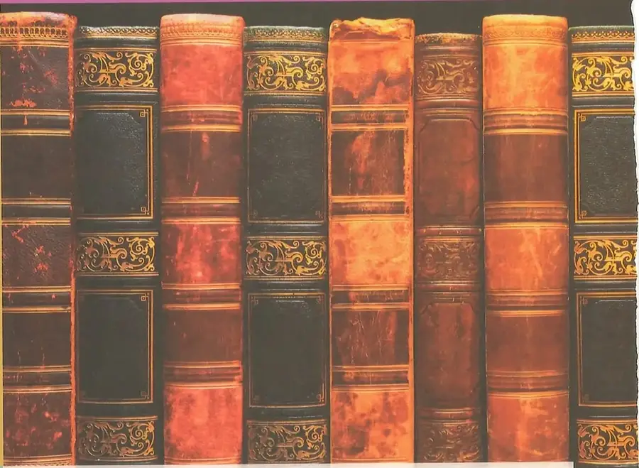 Fotografía de varios lomos de libros antiguos con cubiertas de cuero en tonos café, rojizo y negro, con ornamentaciones y letras doradas. Los libros están dispuestos verticalmente como en una biblioteca. Imagen de fondo de la portada de la Unidad 3.