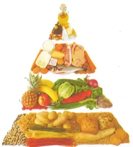 Pirámide de la alimentación formada por cereales, tubérculos, frutas, verduras, carnes y otros alimentos.