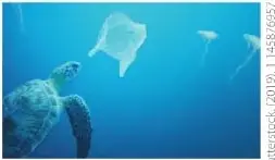 Fotografía submarina de contaminación por residuos plásticos que afecta a un animal marino.