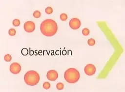 Figura 2 de Ciencias Naturales 8° · Egb 8 Ciencias Naturales 2025 · 2025