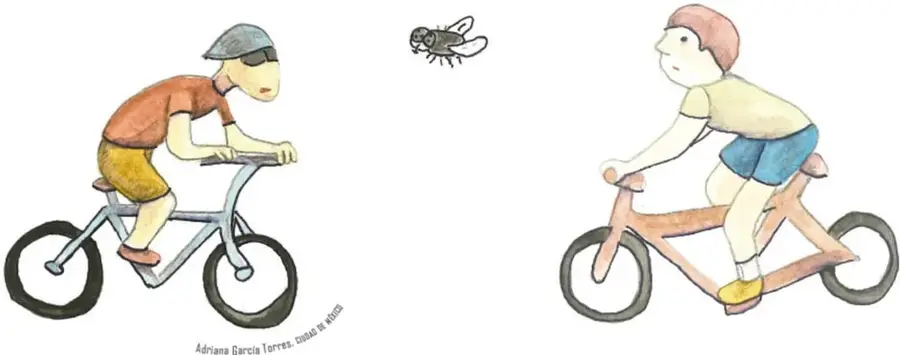 Ilustración de dos ciclistas pedaleando uno hacia el otro con una mosca volando entre ellos. Crédito: Adriana García Torres, Ciudad de México.