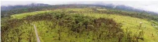 Vista aérea de la deforestación en las laderas amazónicas ecuatorianas; se observa un camino y áreas de bosque taladas para la ganadería.