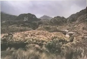 Figura 2 de Ciencias Naturales 10° · 2025