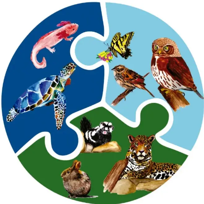 Rompecabezas circular de tres piezas: con ajolote y tortuga marina (azul), lechuza, gorrión y mariposa (celeste), y zorrillo, tejón y jaguar con conejo (verde).
