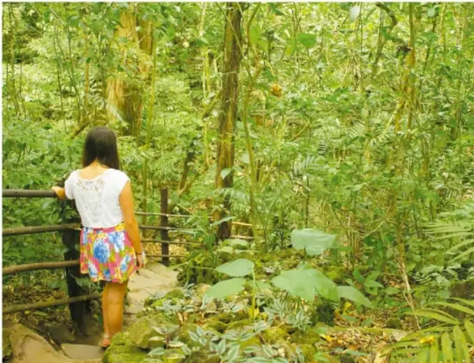 Joven de espaldas, con blusa blanca y falda de flores, recorre un sendero con rústico barandal dentro de la selva verde exuberante.