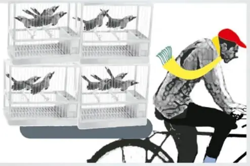 Ciclista con gorra roja y bufanda amarilla que ondea como pájaro, montado en bicicleta.