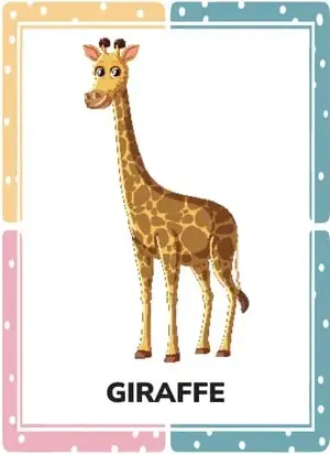 Nueve tarjetas ilustradas con animales adicionales, cada una con su nombre.