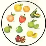 Cinco conjuntos de frutas, figuras, carros y útiles escolares para contar.