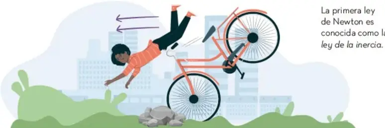 Ilustración de una persona saliendo despedida de una bicicleta al chocar contra una piedra. Las flechas moradas indican que el cuerpo tiende a seguir moviéndose hacia adelante por inercia. A la derecha se lee: 'La primera ley de Newton es conocida como la ley de la inercia'.