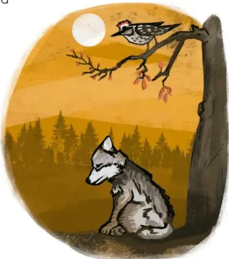 Ilustración de un lobo gris sentado bajo un árbol, mirando hacia arriba; sobre una rama hay un pájaro carpintero y al fondo se ve la luna llena y un bosque de pinos. Crédito: El Fabián López López, Guerrero.