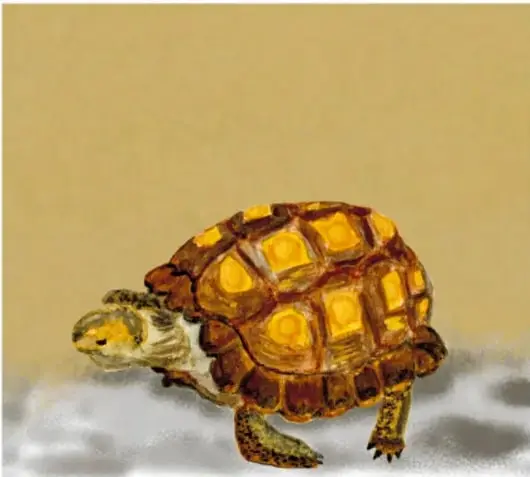 Encabezado ilustrado con el título 'La tortuga del desierto... ¿en extinción?' sobre fondo desértico con plantas y sol.