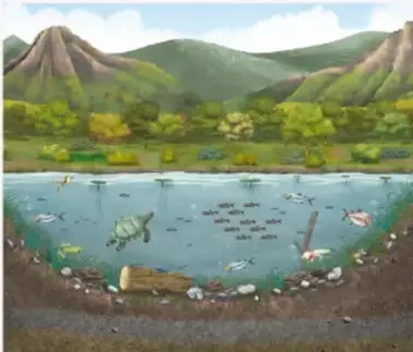 Ilustración de un ecosistema acuático con montañas al fondo, vegetación, peces, tortugas y otros organismos vivos en un lago, junto con la definición de ecosistema.