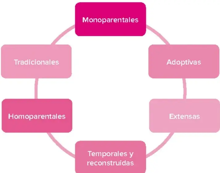 Infografía circular rosa con seis recuadros en anillo: monoparentales, tradicionales, adoptivas, homoparentales, extensas, temporales y reconstruidas.