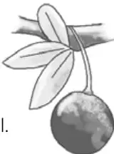 Ilustración en blanco y negro de un niño trepado en las ramas de un árbol grande y frondoso, mirando hacia abajo con expresión de temor, mientras otro personaje no aparece en la escena.
