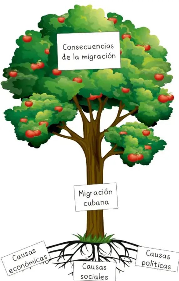 Ilustración de un árbol frondoso con manzanas rojas. En el tronco hay un cartel que dice 'Migración cubana'; en las raíces, carteles con 'Causas económicas', 'Causas sociales' y 'Causas políticas'; en las hojas, un cartel con 'Consecuencias de la migración'.